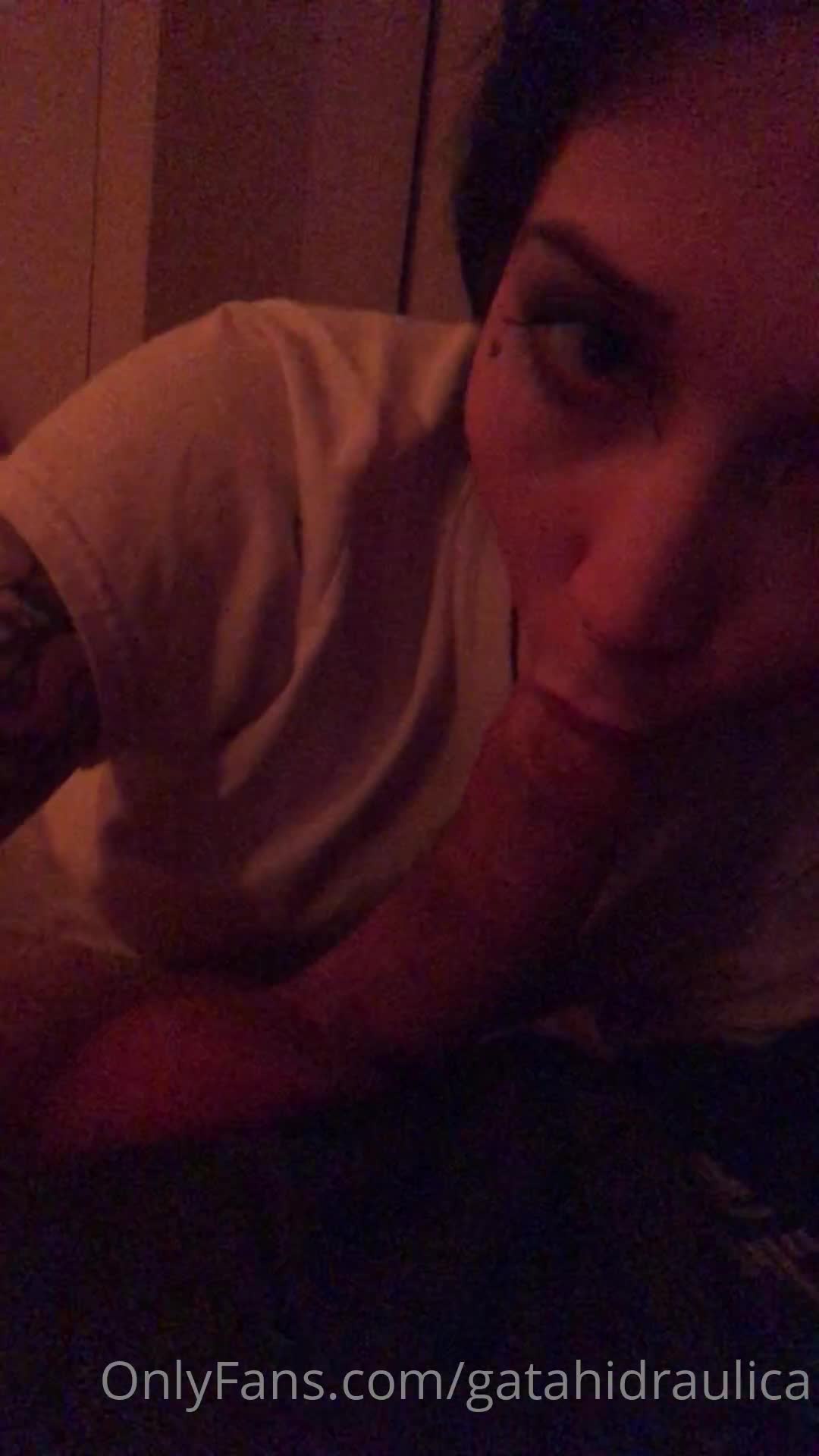vid_221