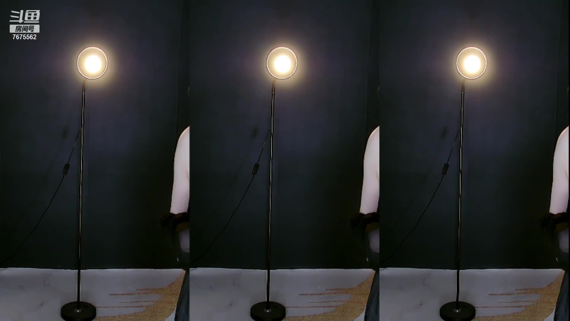 （1） (86)