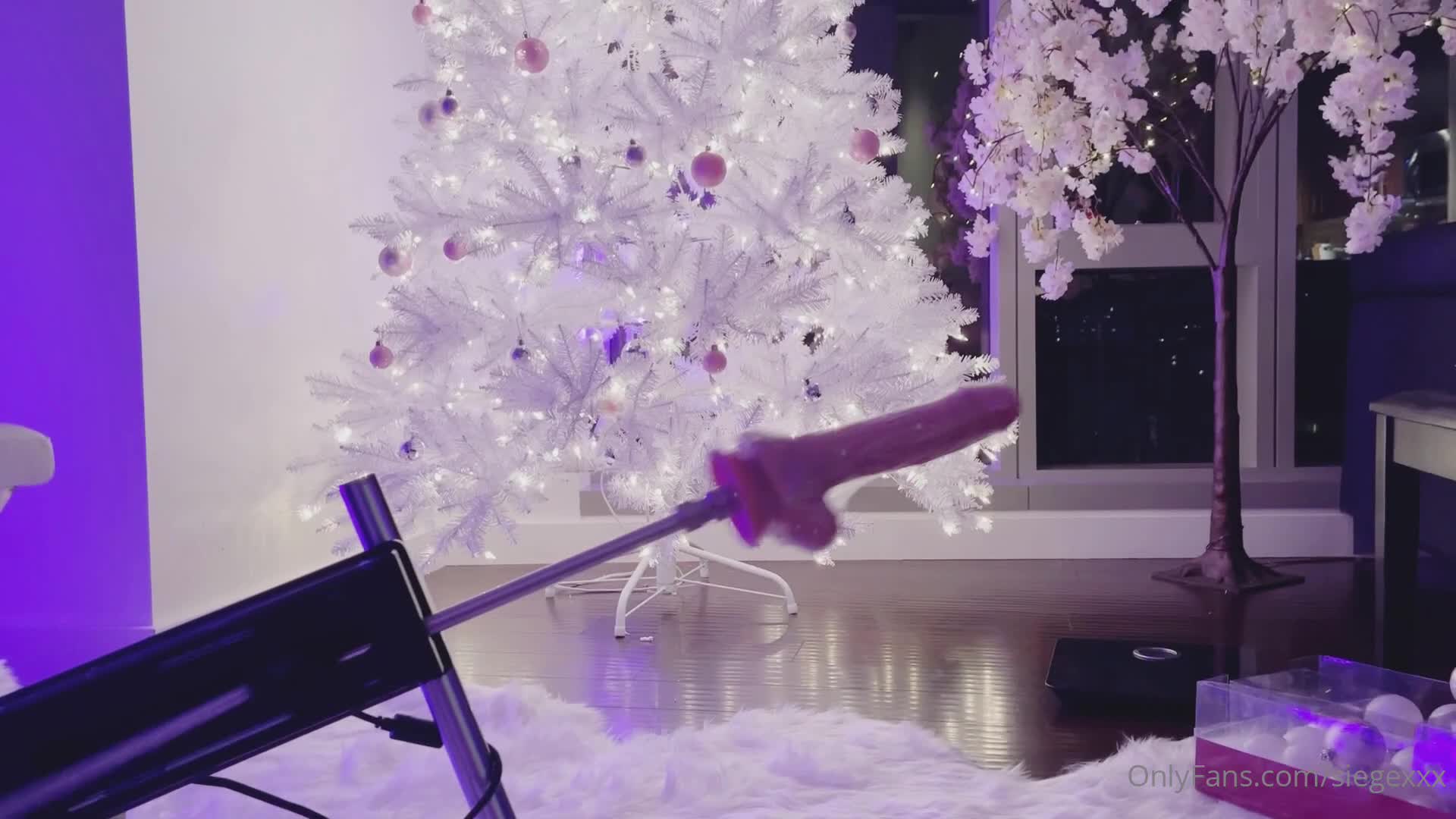 vid_361