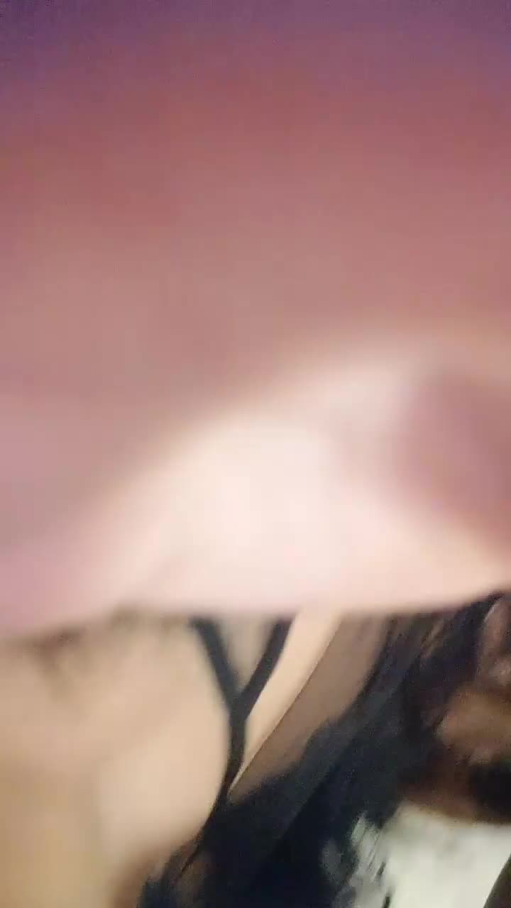 1 (44)