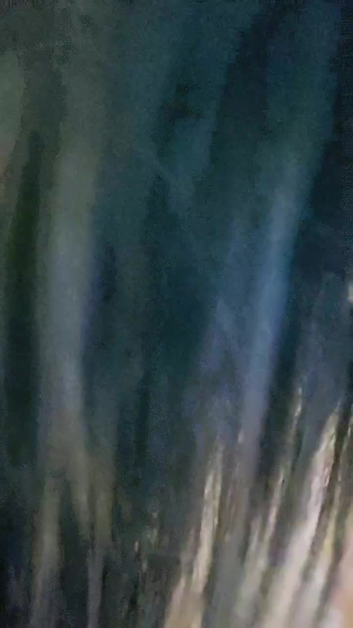 1 (21)