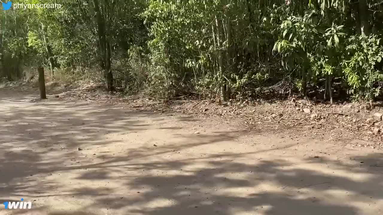 1 (14)