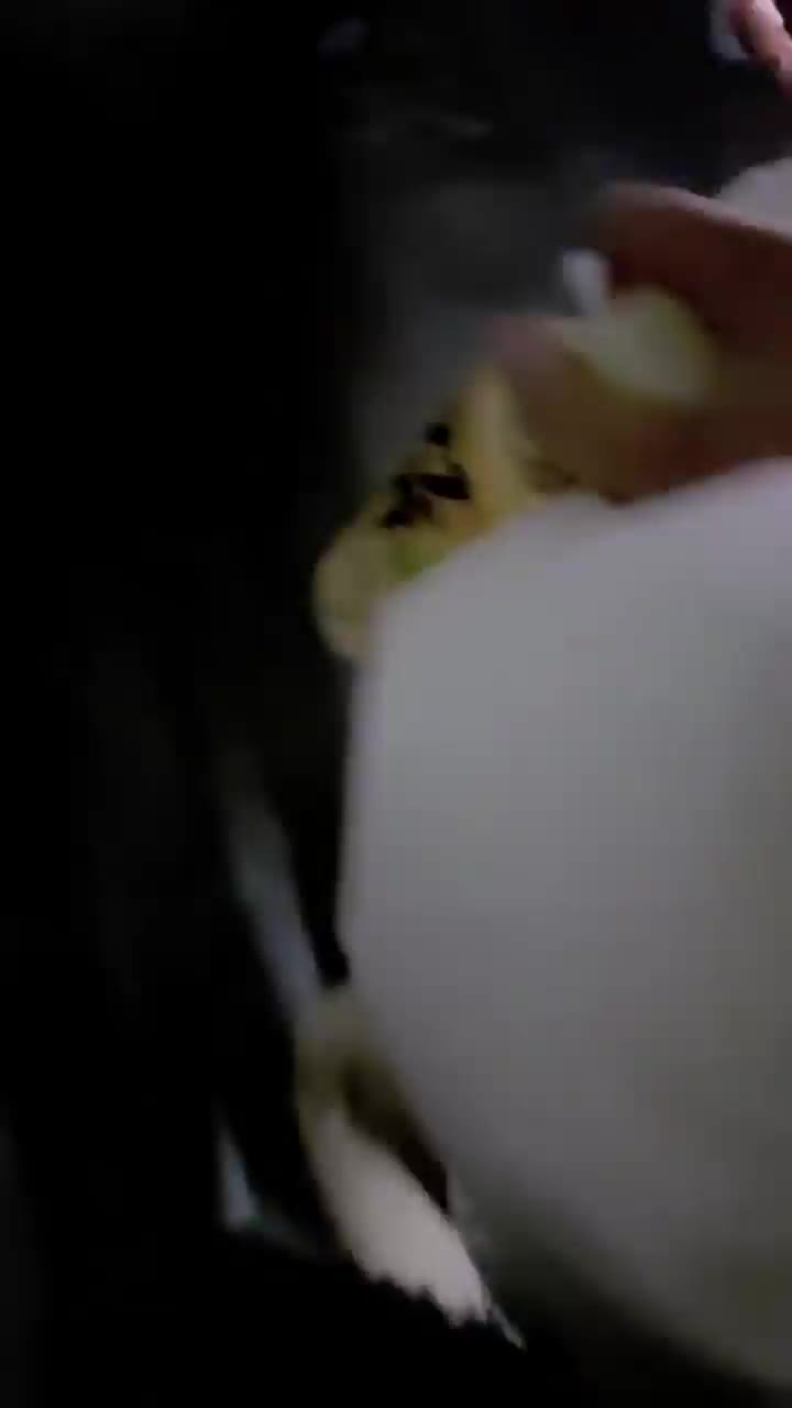 1 (17)