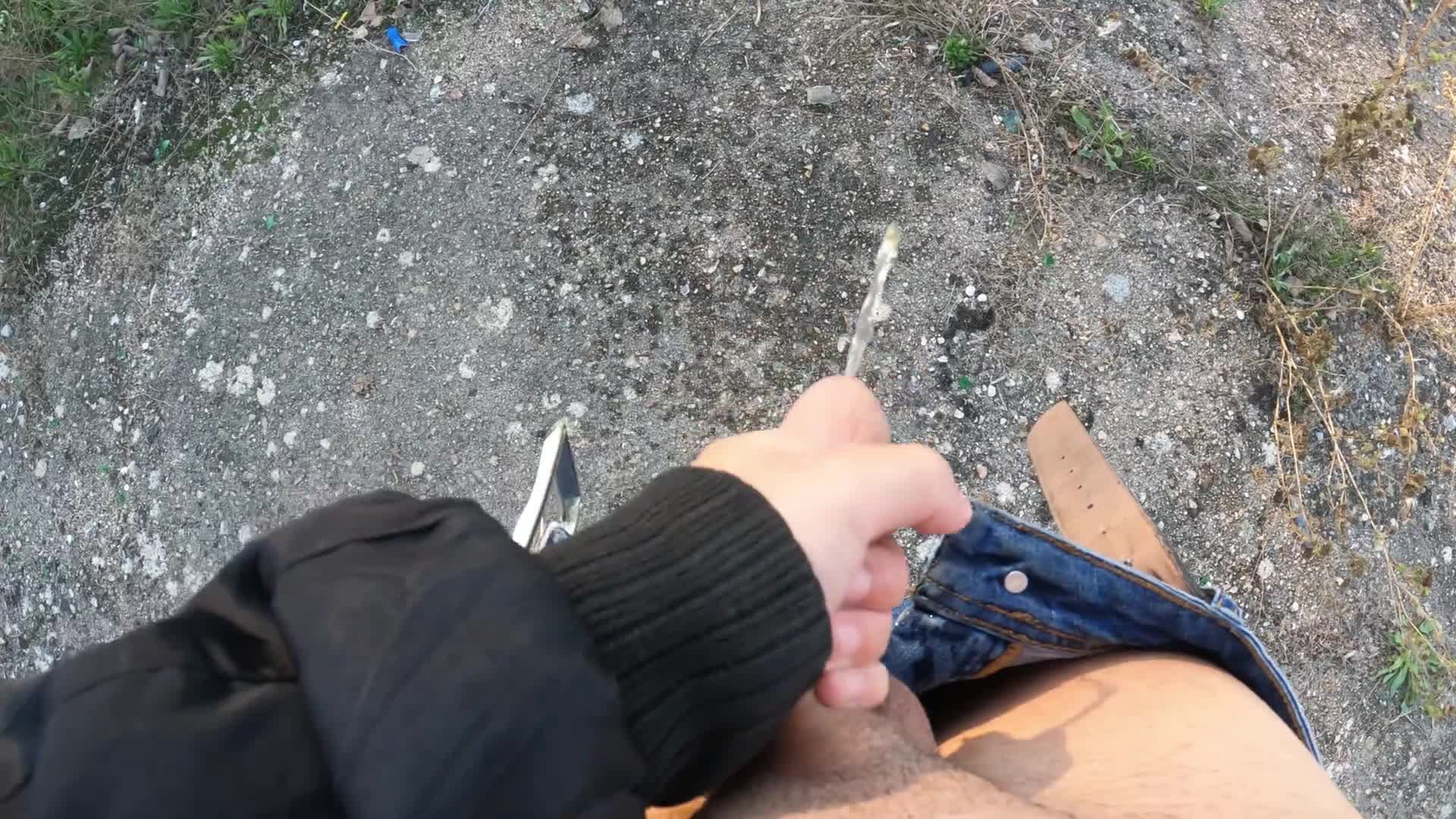1 (102)