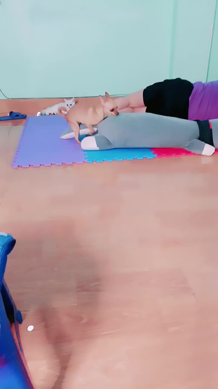 1 (5)