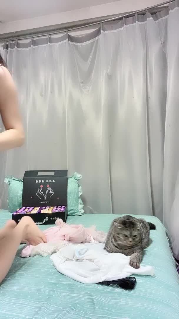 奶妈21