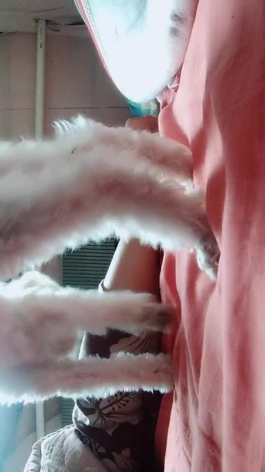 057_雪白20200929
