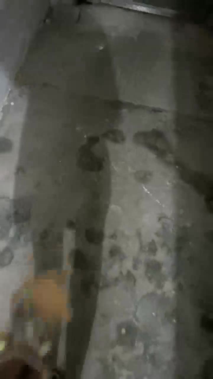 1 (24)