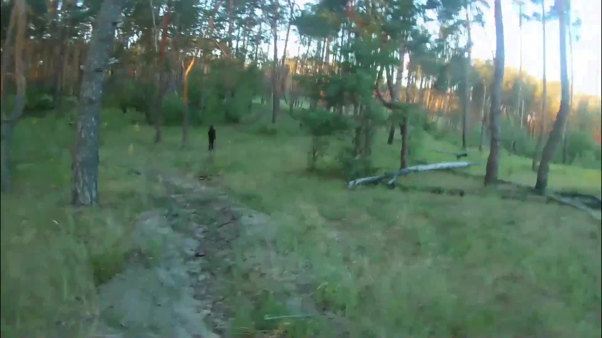 1 (47)