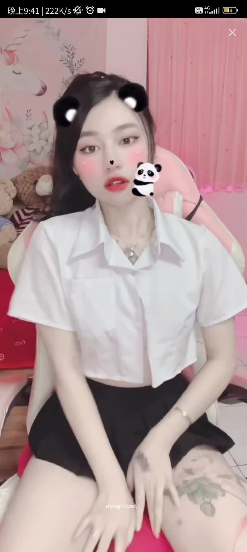 dy (11)