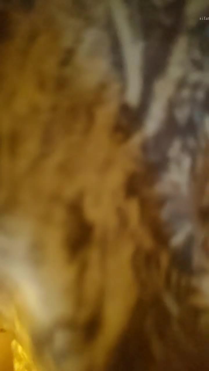 1 (38)