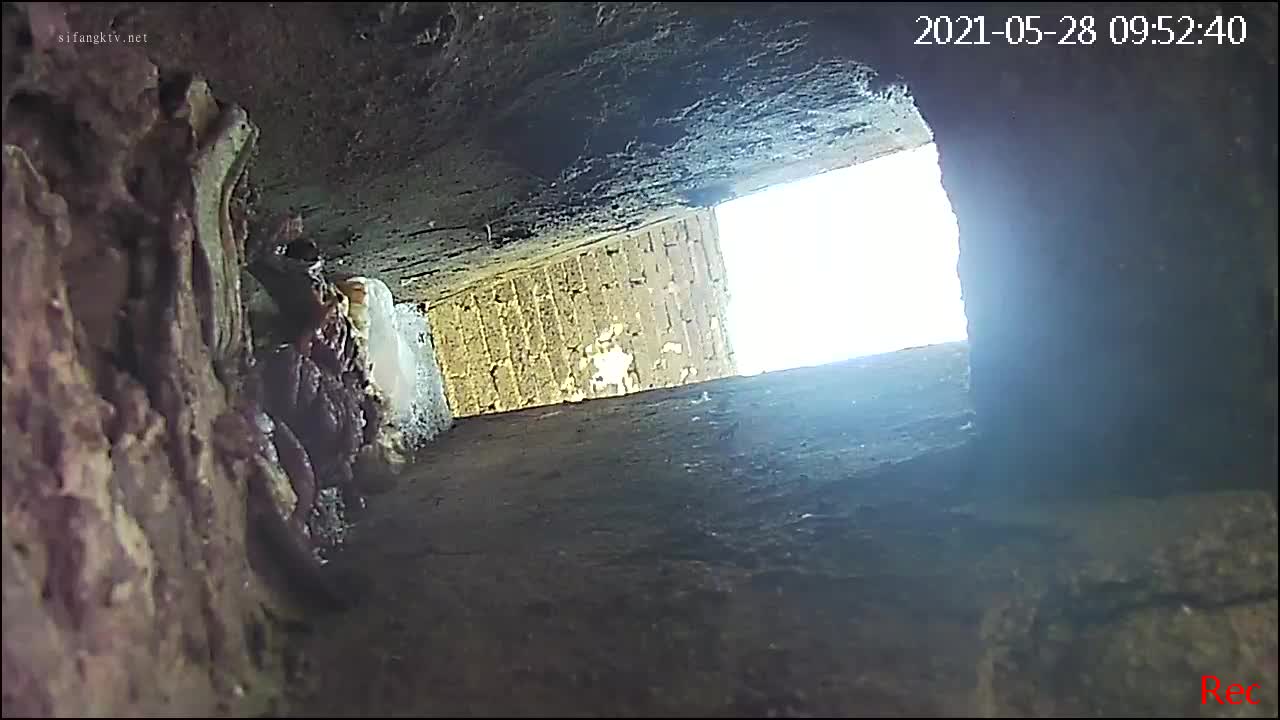 1 (10)