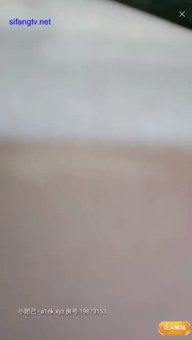 1 (13)