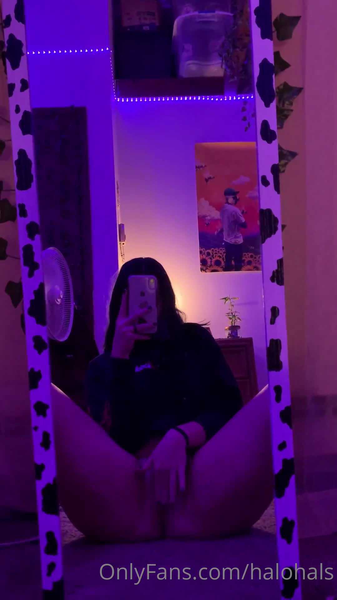66