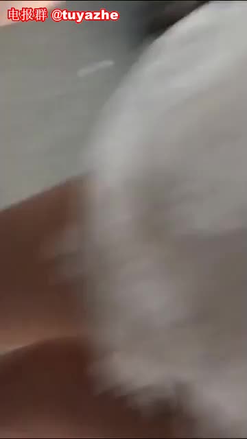 1 (102)