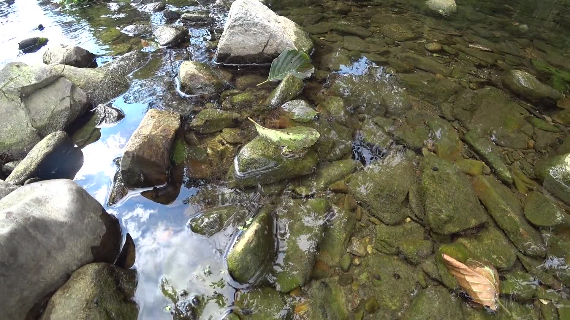 1 (23)