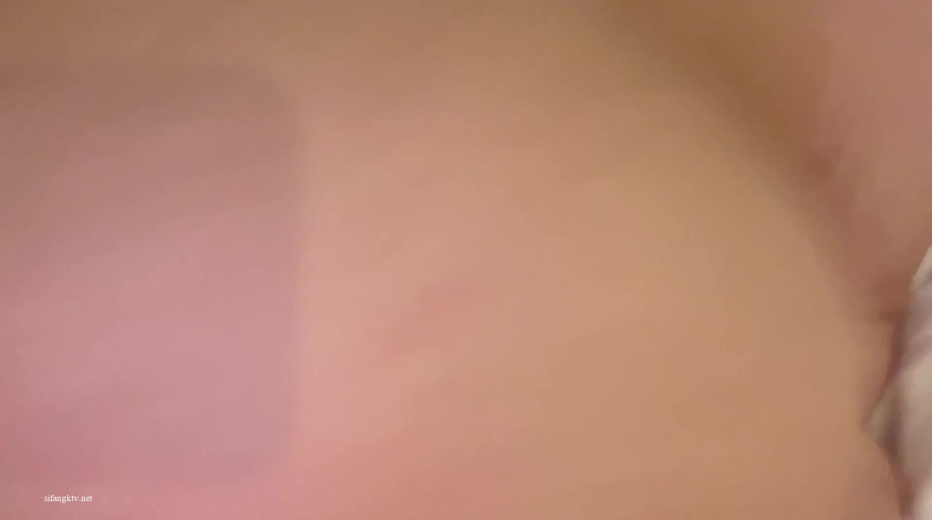 1 (81)