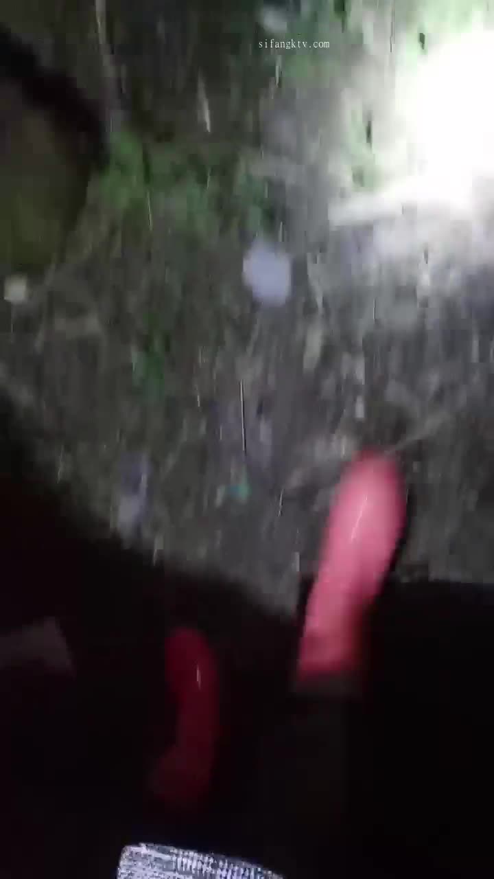  (4)