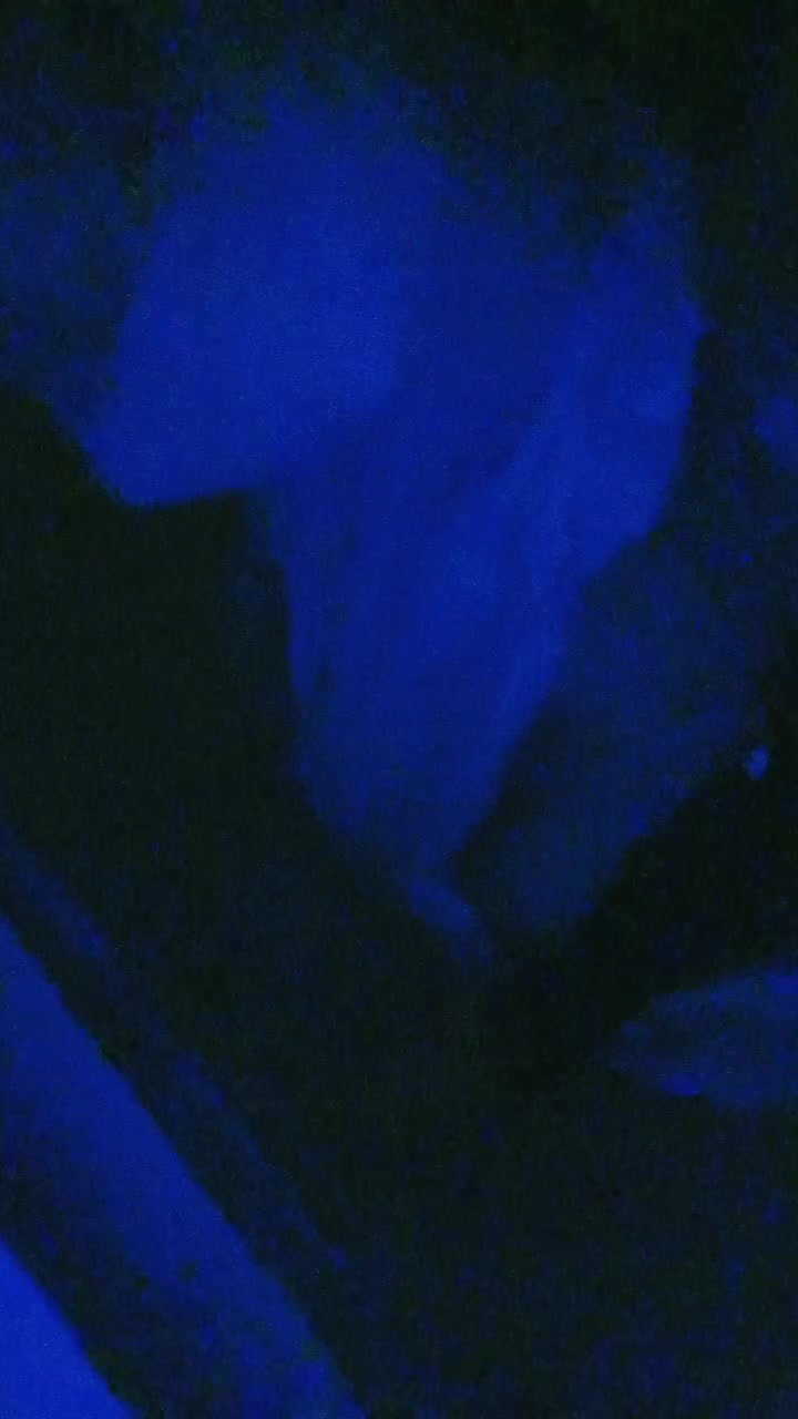  (13)