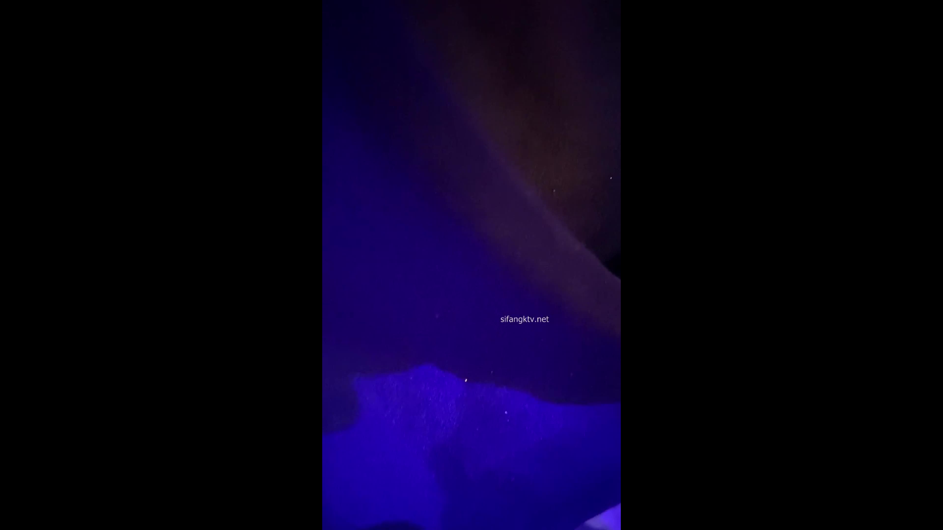 音乐节1 (2)