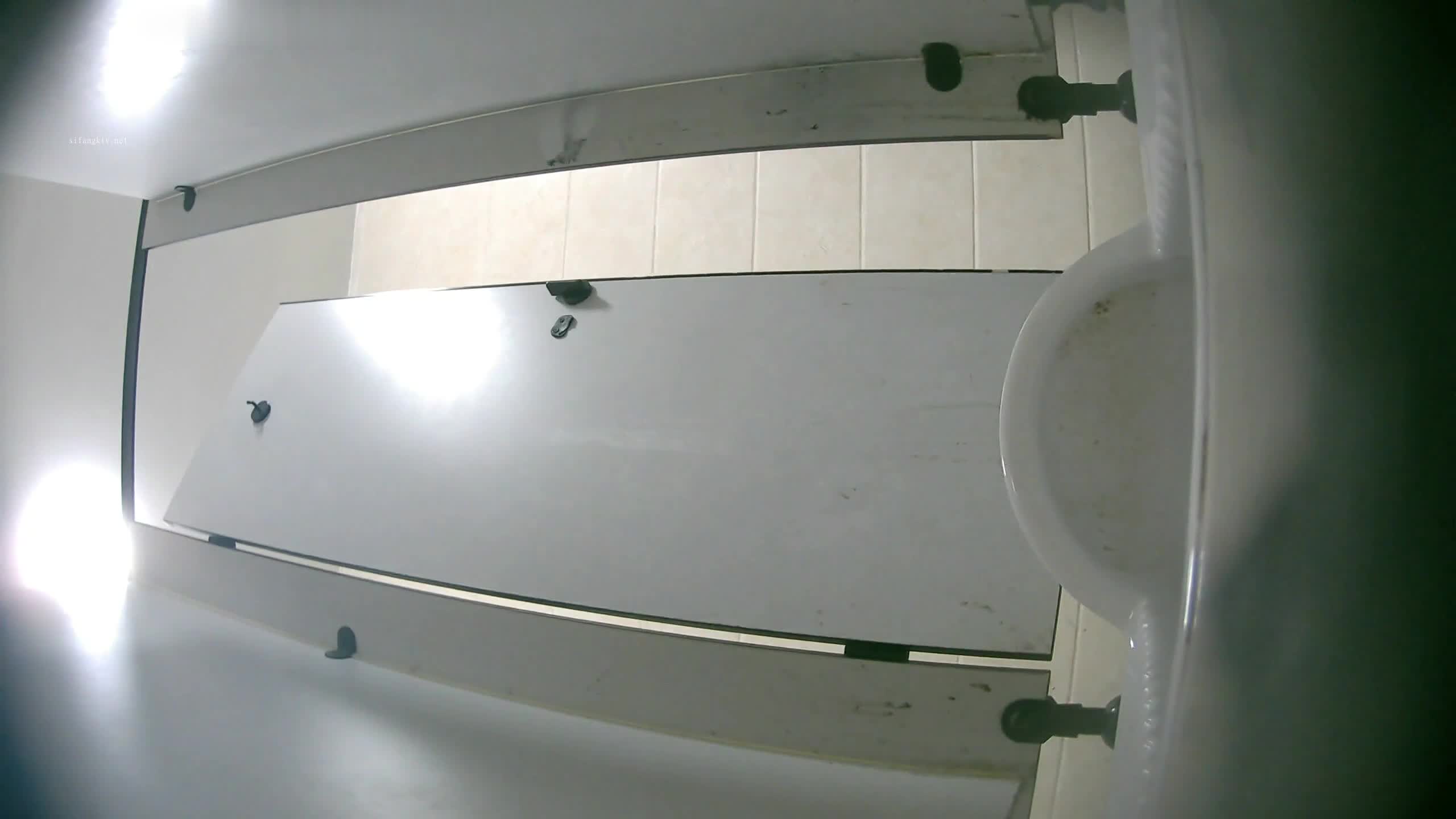  (91)