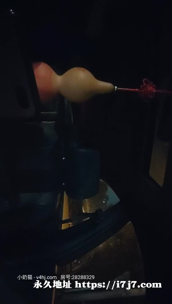  (29)