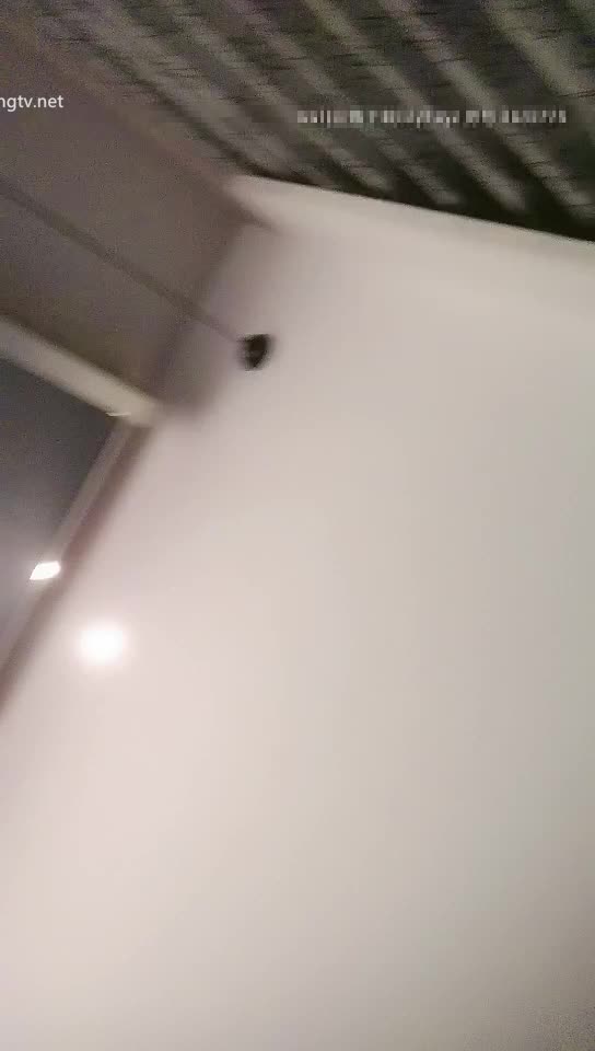 全国探花12312