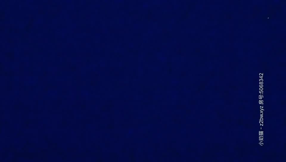 09161