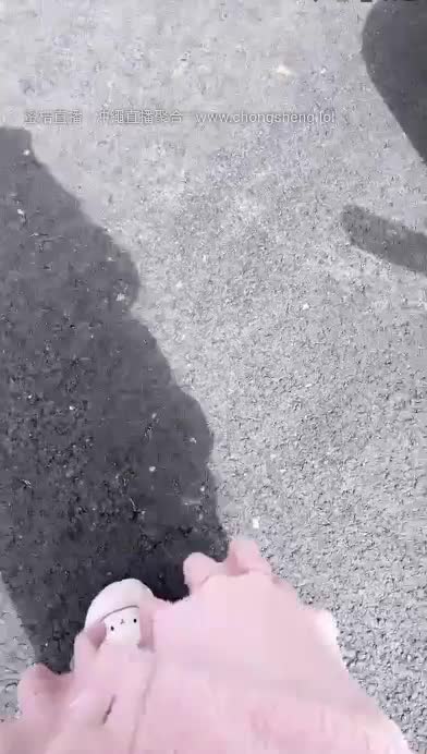  (5)