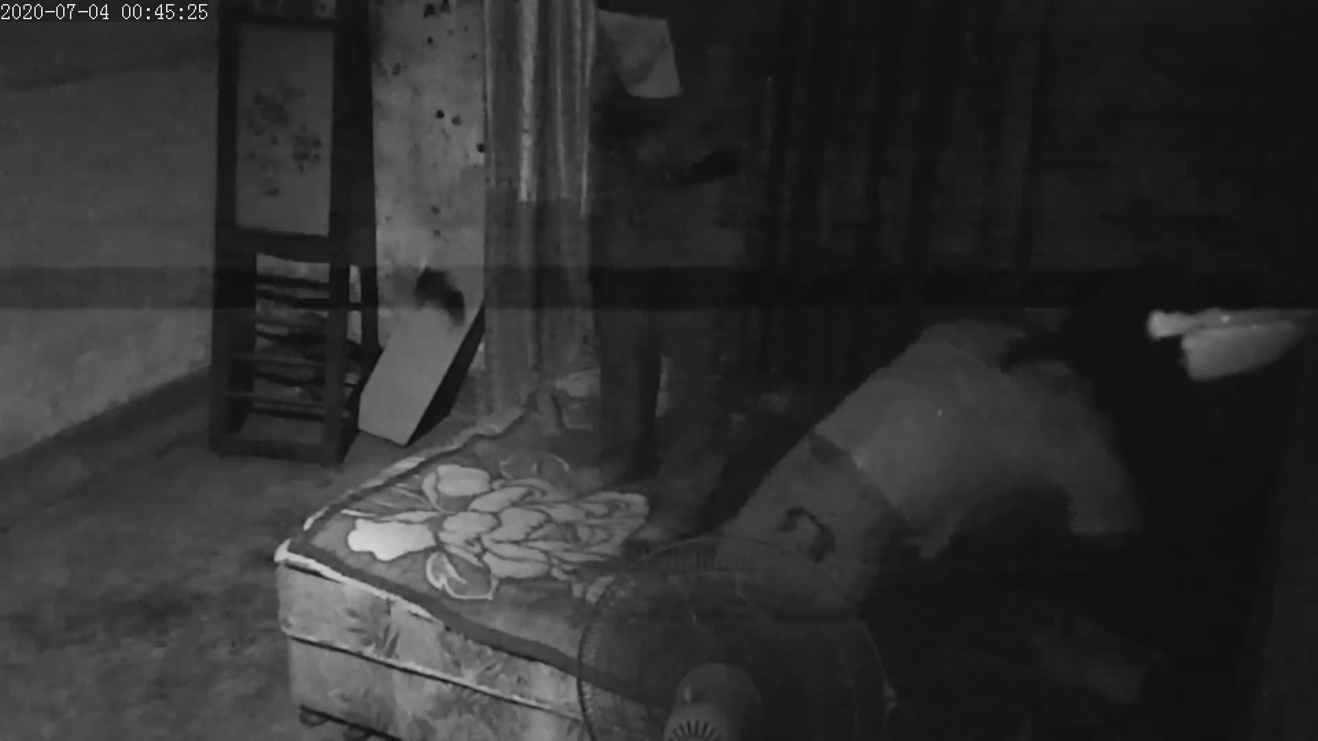 video_ (23)