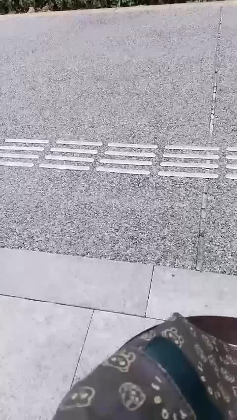  (8)