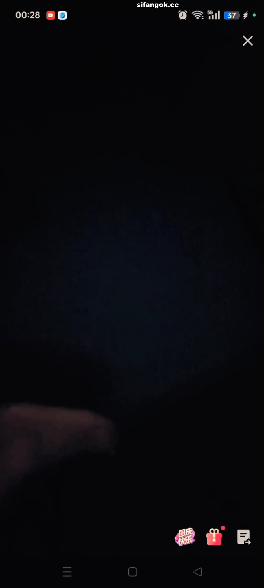 (87)