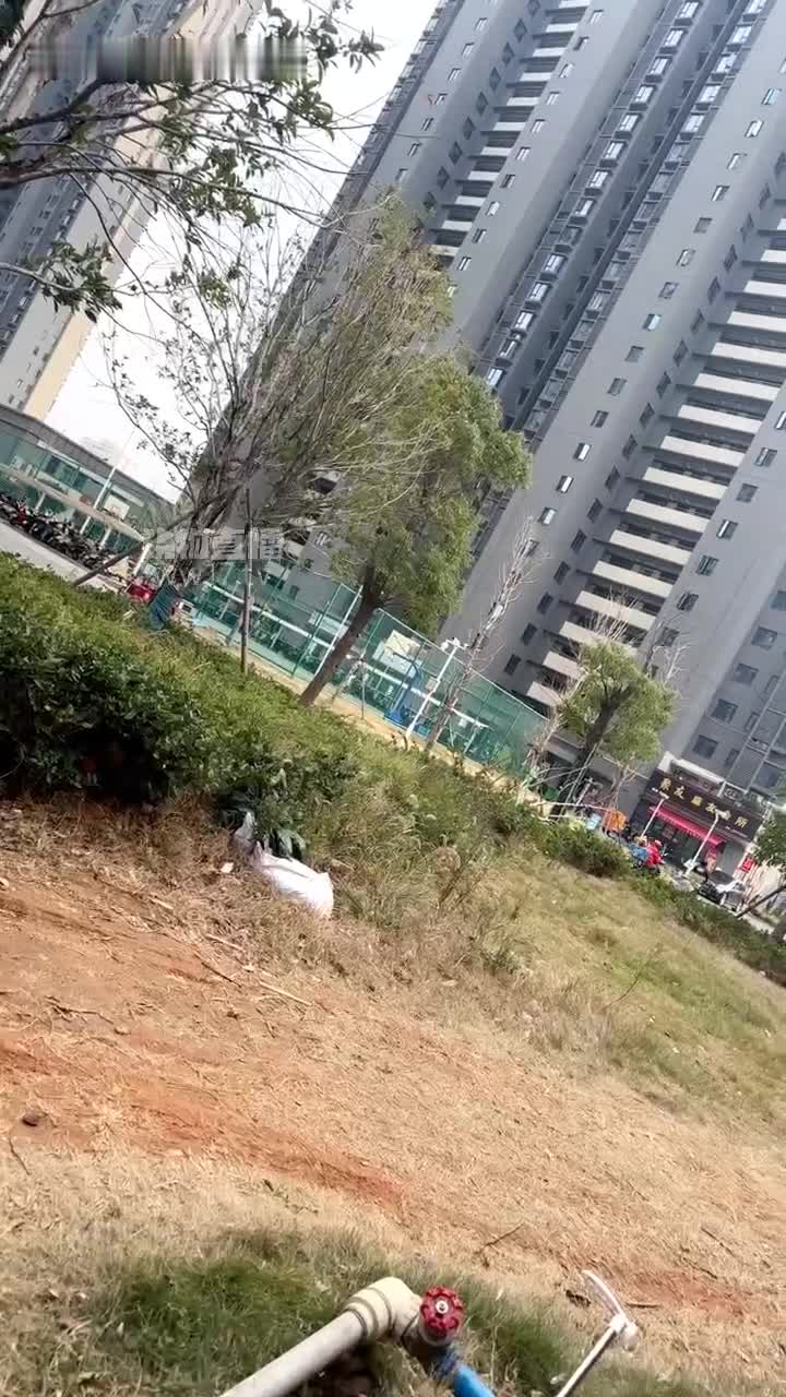 2048.hk@狗哥TJ：搭讪白袜艺术生情侣超有气质的18岁艺术生素人肉丝长筒白袜小皮鞋巨反差疯狂踩脸2026-01-02