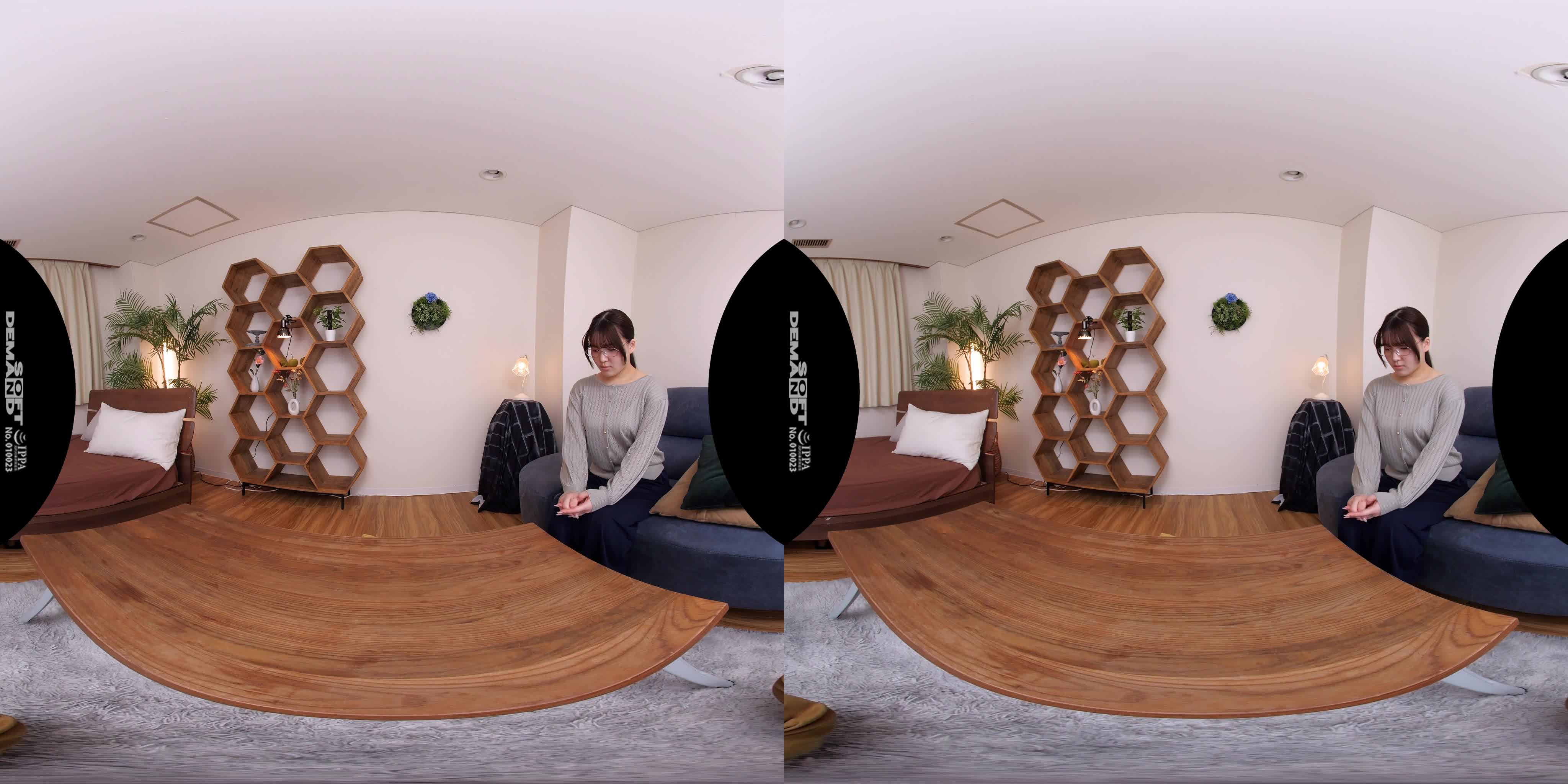 2048.hk@DSVR-1531.part1
