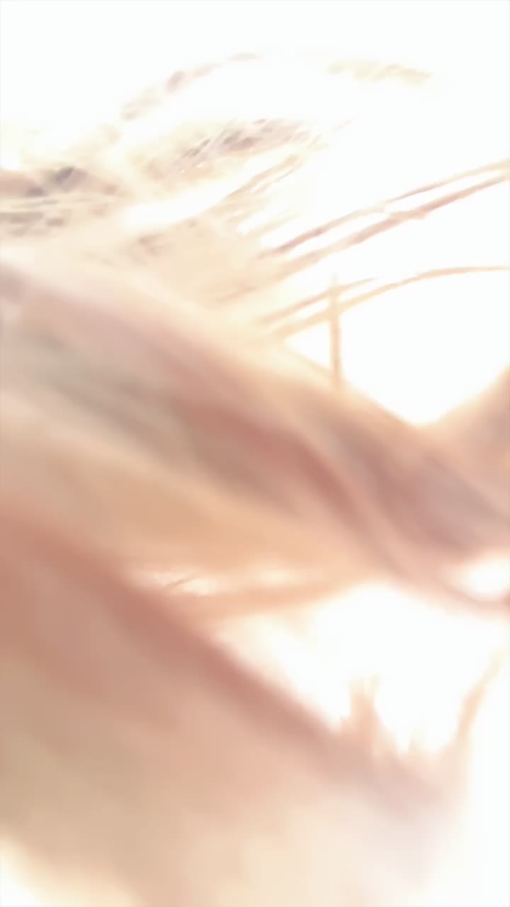 2048.hk@想调坏男人242214165_20251215 (4)
